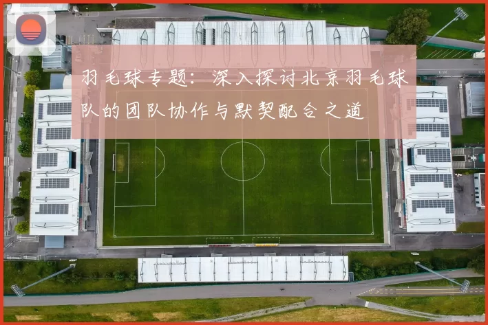 羽毛球专题：深入探讨北京羽毛球队的团队协作与默契配合之道