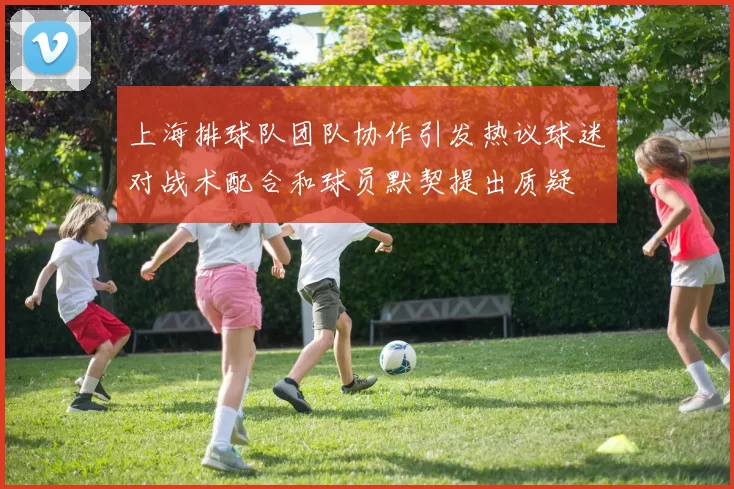 上海排球队团队协作引发热议球迷对战术配合和球员默契提出质疑