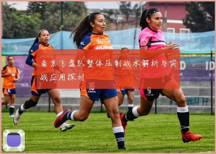 南京飞盘队整体压制战术解析与实战应用探讨