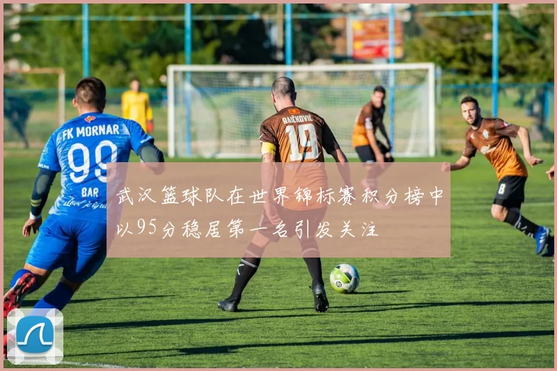 武汉篮球队在世界锦标赛积分榜中以95分稳居第一名引发关注