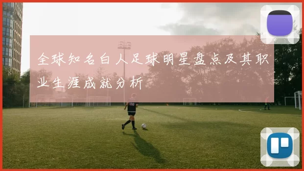 全球知名白人足球明星盘点及其职业生涯成就分析