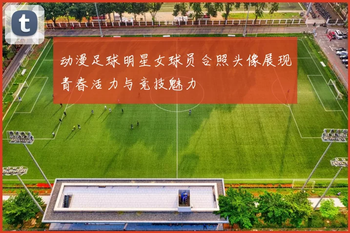 动漫足球明星女球员合照头像展现青春活力与竞技魅力