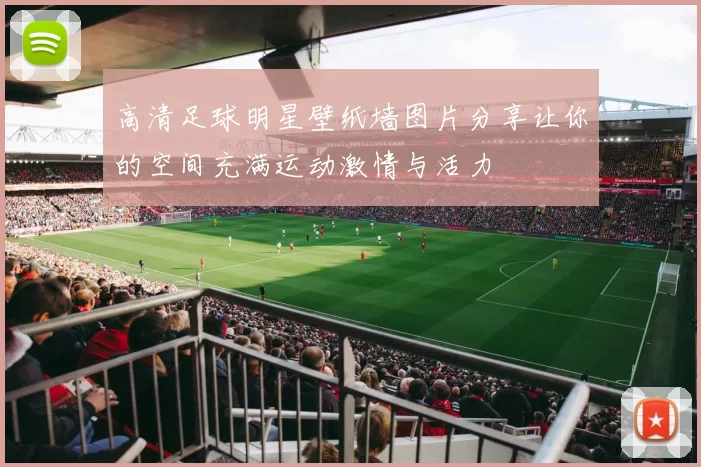 高清足球明星壁纸墙图片分享让你的空间充满运动激情与活力