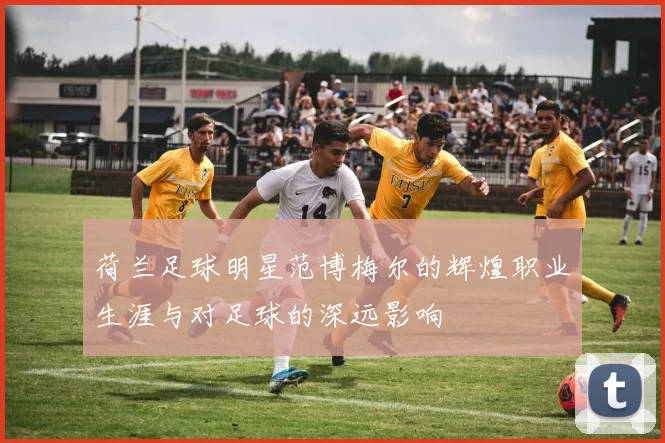 荷兰足球明星范博梅尔的辉煌职业生涯与对足球的深远影响