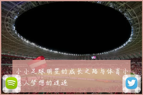 小小足球明星的成长之路与体育小达人梦想的追逐