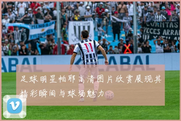 足球明星帕耶高清图片欣赏展现其精彩瞬间与球场魅力