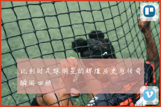 比利时足球明星的辉煌历史与传奇瞬间回顾