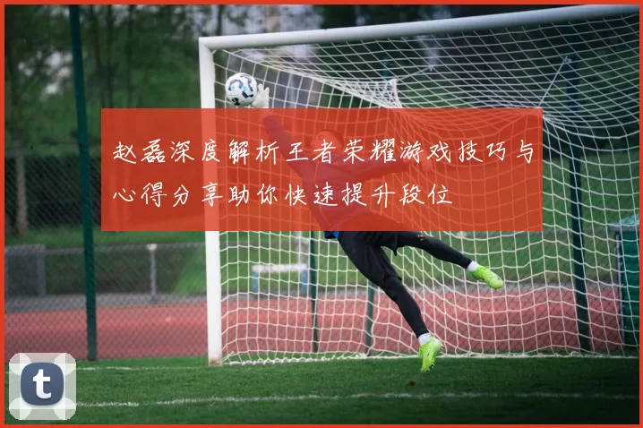 赵磊深度解析王者荣耀游戏技巧与心得分享助你快速提升段位