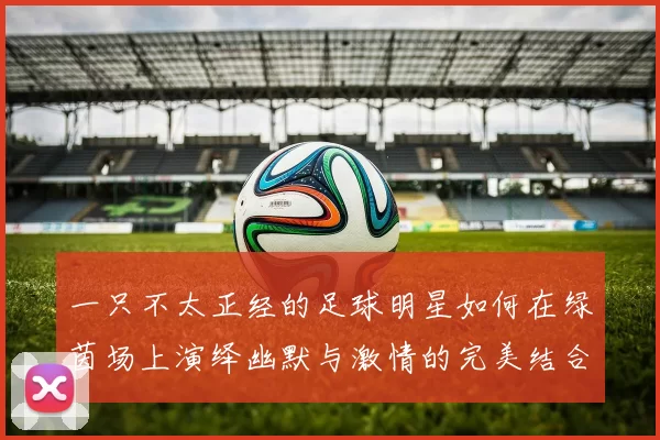 一只不太正经的足球明星如何在绿茵场上演绎幽默与激情的完美结合