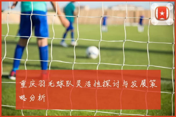 重庆羽毛球队灵活性探讨与发展策略分析