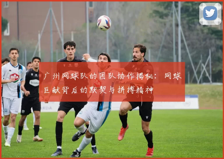广州网球队的团队协作揭秘：网球巨献背后的默契与拼搏精神