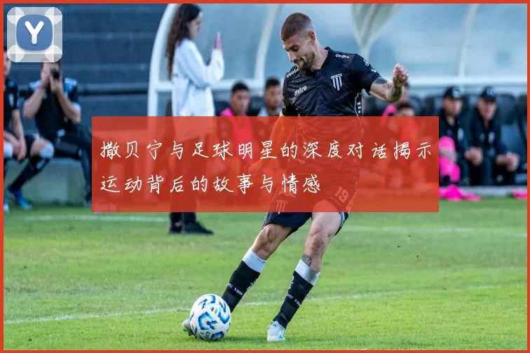 撒贝宁与足球明星的深度对话揭示运动背后的故事与情感